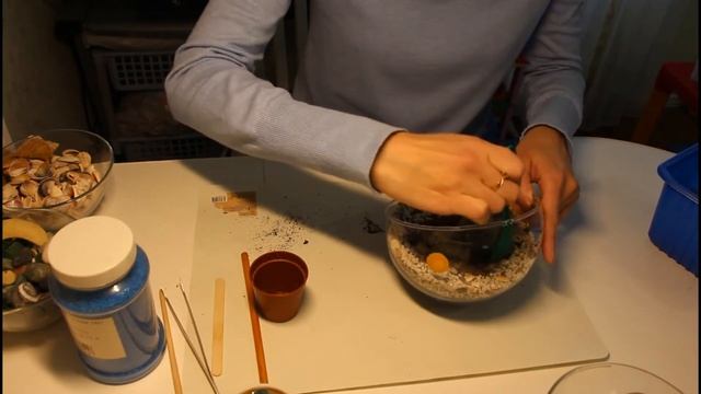 флорариум с трицератопсом смотреть онлайн