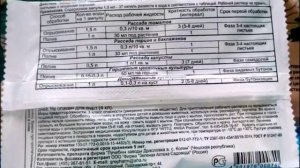 атлет от  перерастания и вытягивания   рассады