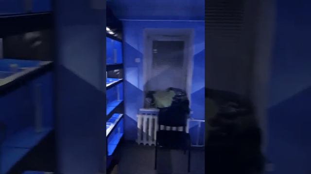 аквариумные стойки смотреть онлайн