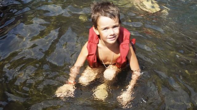 ? Водопад Дудхсагар. Дикие обезьяны, #джунгли и красивый водопад Дудхсагар. #Индия, Гоа смотреть онлайн