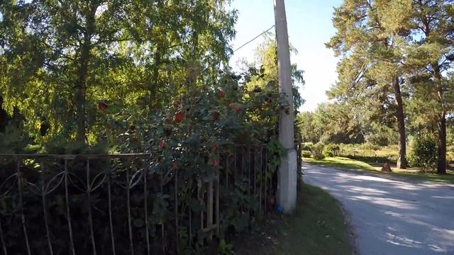 Ботанический сад. Новосибирск смотреть онлайн