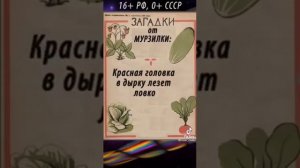 смешные загадки для взрослых