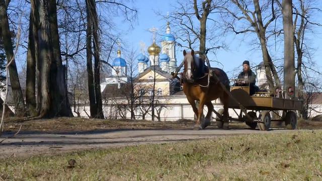 Лошади смотреть онлайн