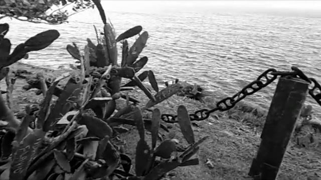 Teste da Câmera Samsung WB 100 - Foto e Vídeo