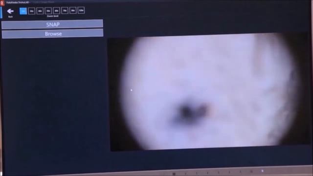 Медицинская трихология. Курс "Больше практики" смотреть онлайн