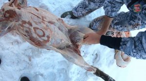 РАЗДЕЛКА КАБАНОВ