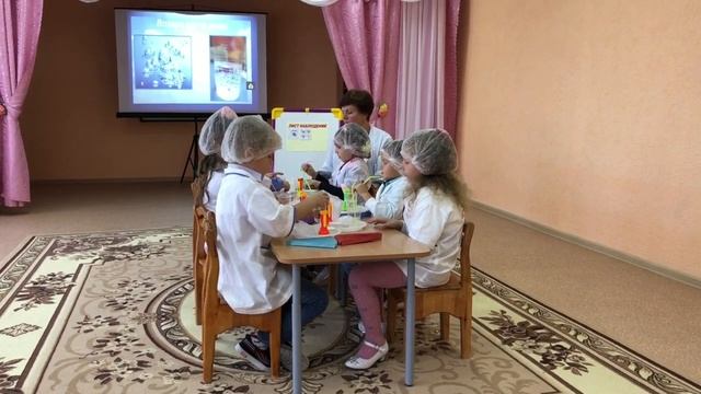 Проняшина Н. В., Занятия по экологическому воспитанию "Воздух и его свойства" смотреть онлайн