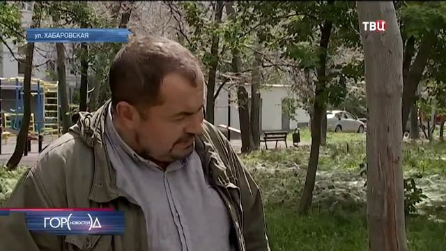 Нашествие гусениц в Москве. Обработка деревьев от МОСЭКОС. смотреть онлайн