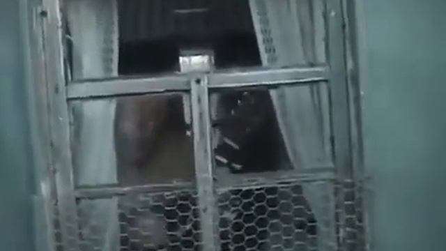 Гитарист сошел с ума и разбил окно смотреть онлайн