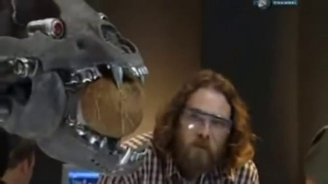 Звериные баталии Сибирский тигр против бурого медведя смотреть онлайн