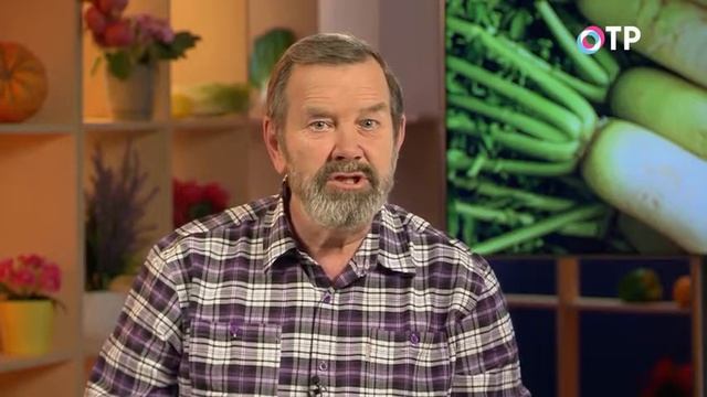 Рецензии на Книги и Литературу