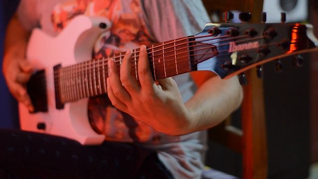 | MESHUGGAH | IMMUTABLE | KALEIDOSCOPE | (Guitar Cover) #meshuggah #kaleidoscope #immutable смотреть онлайн