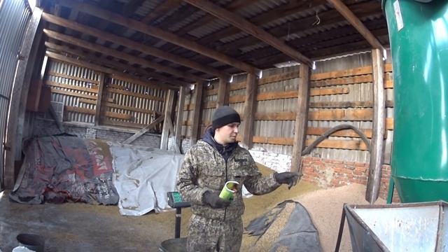 Как кормить свиней/Комбикорм для свиней/Рецепт комбикорма смотреть онлайн