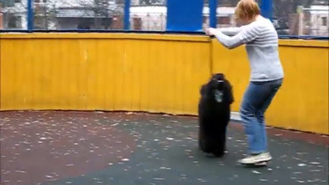 Грэй 1 год смотреть онлайн