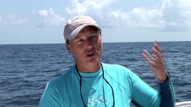 Isla Holbox - Whale Shark Island смотреть онлайн