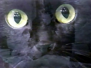 1997 год. Тюмень. "Черная кошка". Эфир 11-02-1997