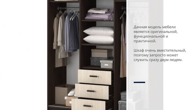 Шкаф-купе Фортуна (Маэстро) смотреть онлайн