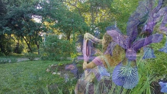 O'Carolan - Planxty George Brabazon - Celtic harp | Кельтская арфа смотреть онлайн