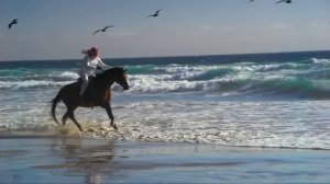 Мишари Рашид - Нашид [HD]