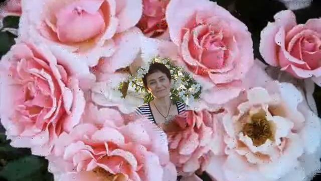 У Светы День рождения.wmv смотреть онлайн