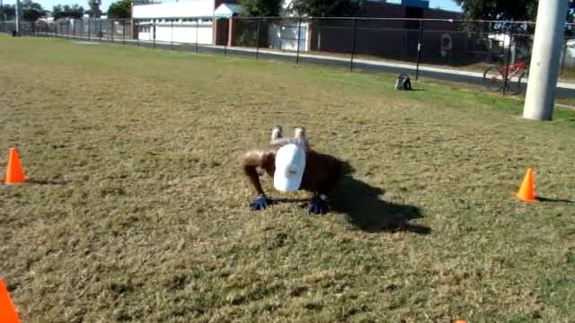 Hybr Fitness Push-Ups In & Out.wmv