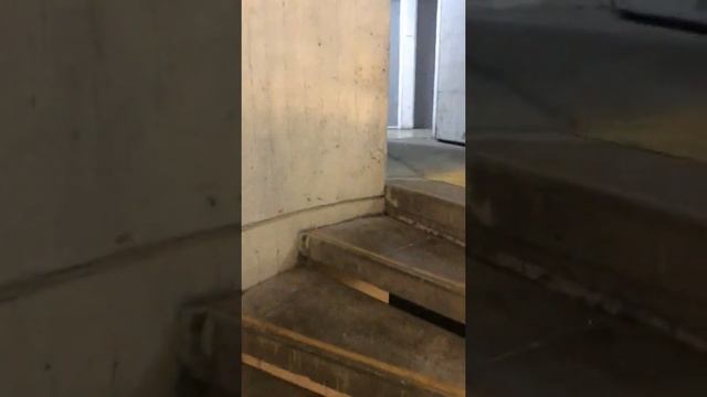 Первые впечатления нашего прибывания в городе Ноф-А-Галиль ? смотреть онлайн