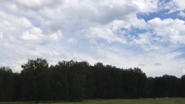 Околица леса возле села Новопичугово. Ордынский район. Путешествия по Новосибирской области. смотреть онлайн