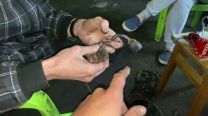 Ошибка ЗАДНЕГО датчика ABS (H-1, Grand Starex). В чем причина?