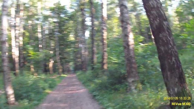 Лосиный остров смотреть онлайн