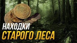 Находки старого леса! В Поисках золота!