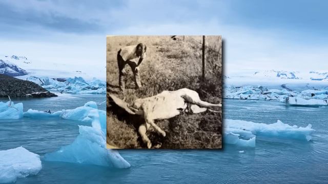 The Most COMPLETE Iceberg Explained (Layer 2) смотреть онлайн