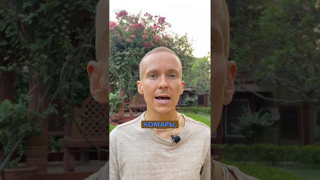 Веды. Счастье уровень 3.