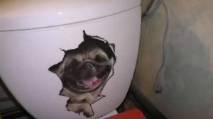 Наклейки на унитаз  3d наклейки с алиэкспресс