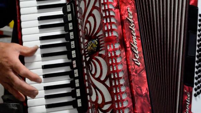TOP German Made Accordion Weltmeister Caprice 96 bass, 16 reg. & Original Hard Case+Brand New Strap смотреть онлайн