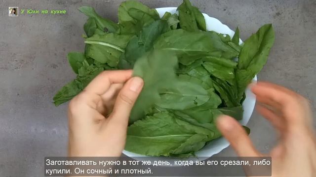 Готовим ЩАВЕЛЬ на ЗИМУ смотреть онлайн