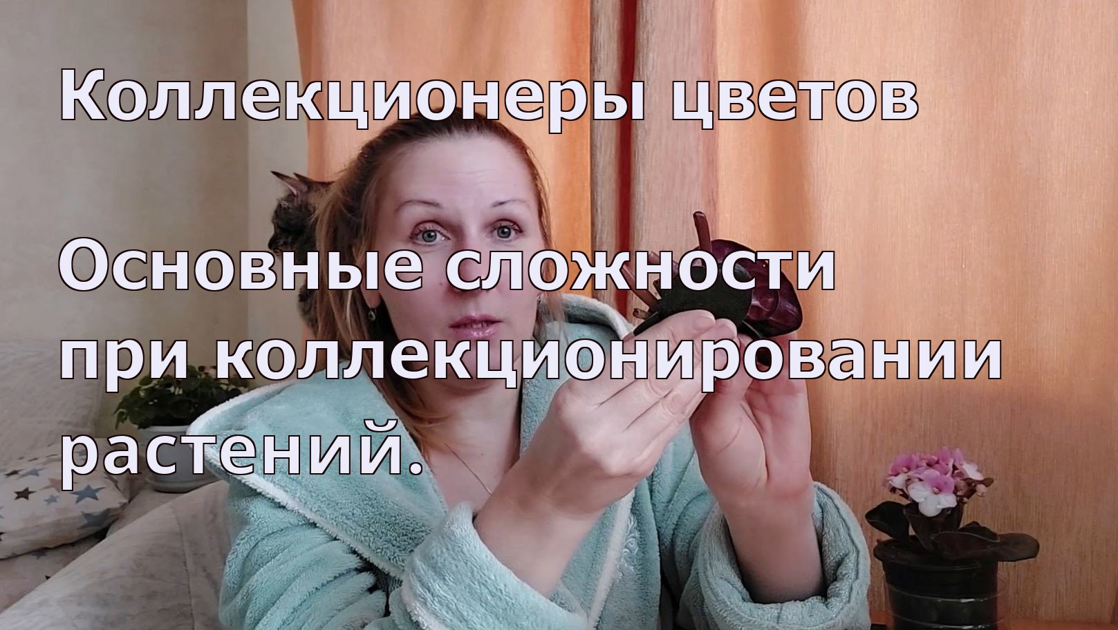 Коллекционеры цветов смотреть онлайн