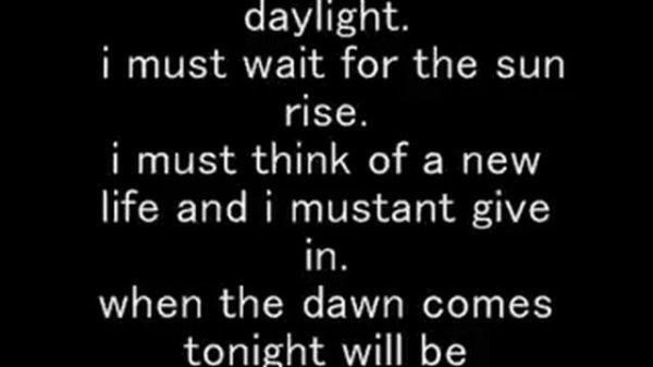 Elaine Paige Memory Cats Lyrics   YouTube