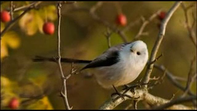 Депрессия - лечение смотреть онлайн