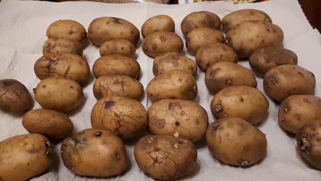 11.04.2018 Картофель НЕВСКИЙ из Леруа Мерлен. Я расстроилась. смотреть онлайн