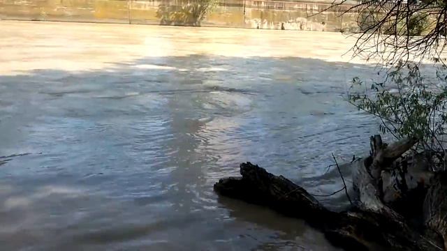 бешеная река разбушевалась смотреть онлайн