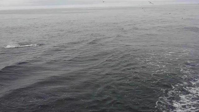 Непогода.mp4