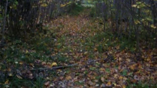 карсун деревне