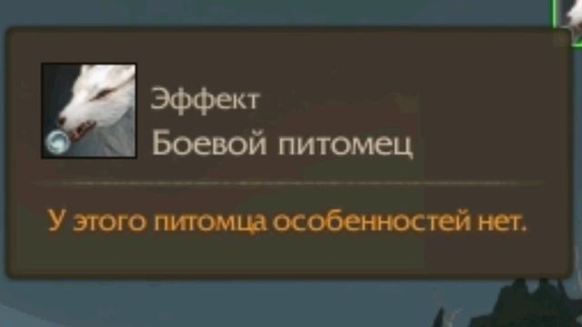 Archeage 2.0: Как определить тип боевого питомца? смотреть онлайн