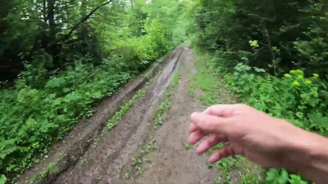 День 55. По бежал в тайгу, чуть не убился. Дистанция 3 километра. смотреть онлайн