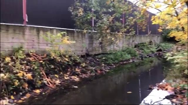 47news: Росприроднадзор искал загрязнителей реки Святка смотреть онлайн