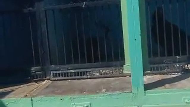 Тольятти зоопарк я с синьм смотреть онлайн
