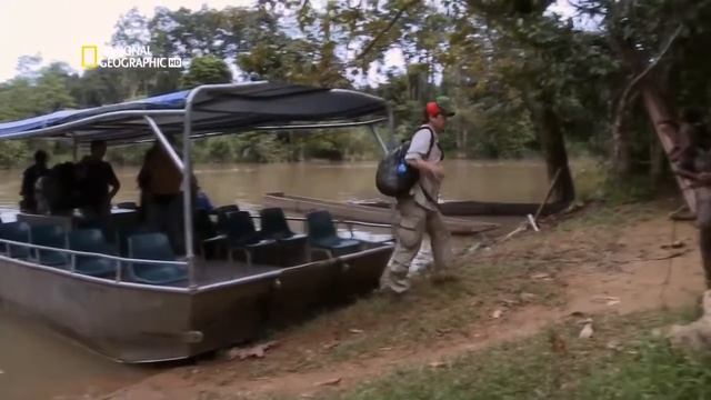 Самые удивительные фотографии National Geographic: Секретные голоса HD 1080