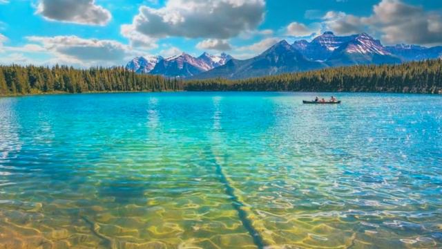 Beautiful Lakeside with Clearwater Beautiful Landscape - Live Wallpaper - Animated background смотреть онлайн