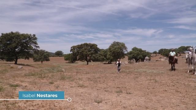 Salud, esencia y tradiciones, Jaén смотреть онлайн