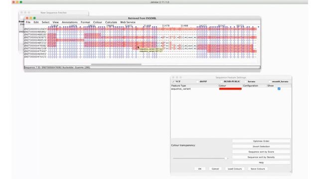 Genome to Function Video 3 - Importing a VCF file & Filtering Variant Features смотреть онлайн
